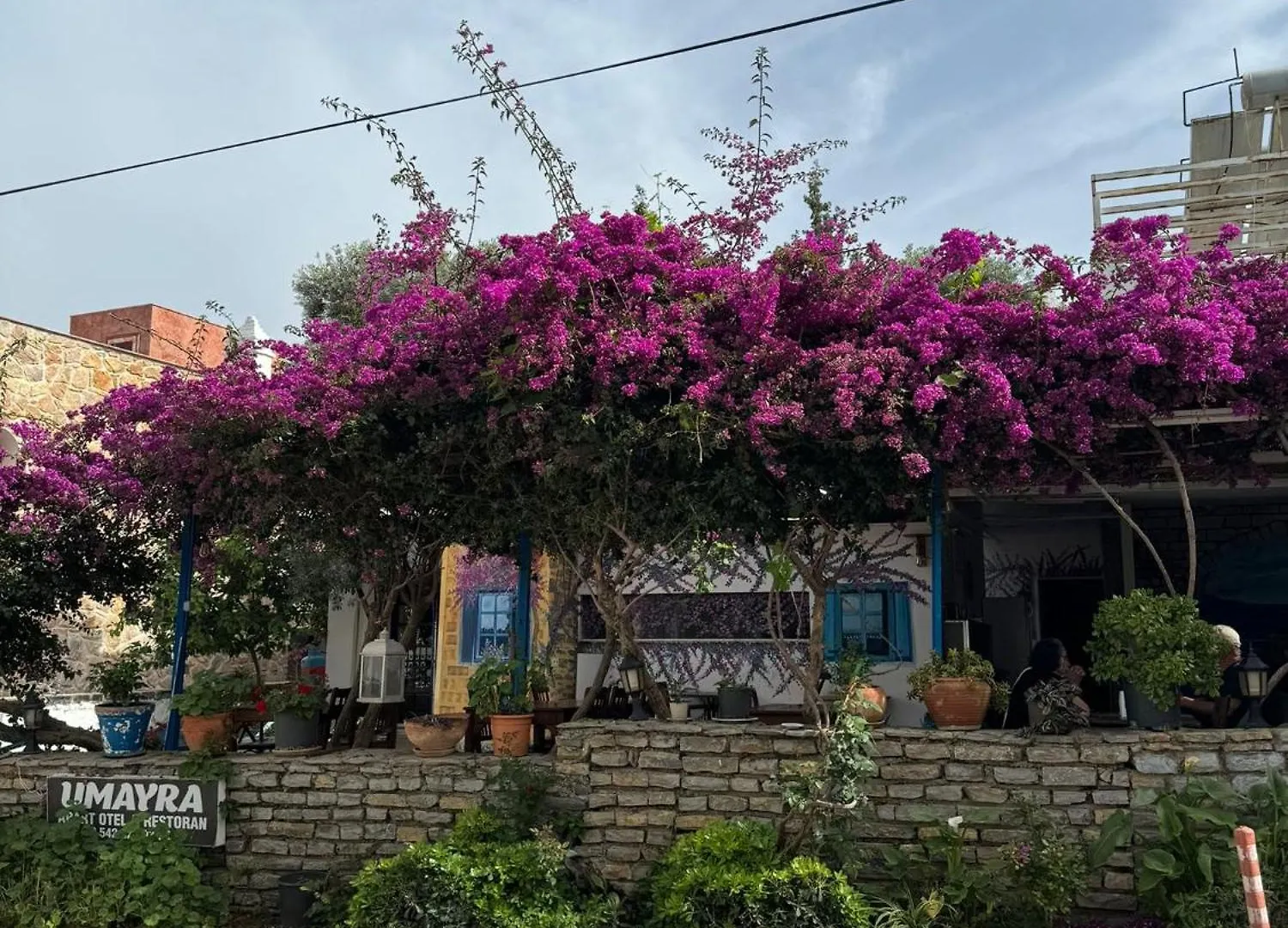 Umayra Otel 博德鲁姆 土耳其